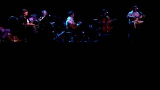 The Magnetic Fields -- 'Falling in Love with the Wolfboy' live 2010