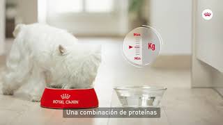Royal Canin Sterilised - Comida para perros esterilizados anuncio