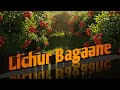 Lichur Bagane Lofi Music Taandob Shakib Khan