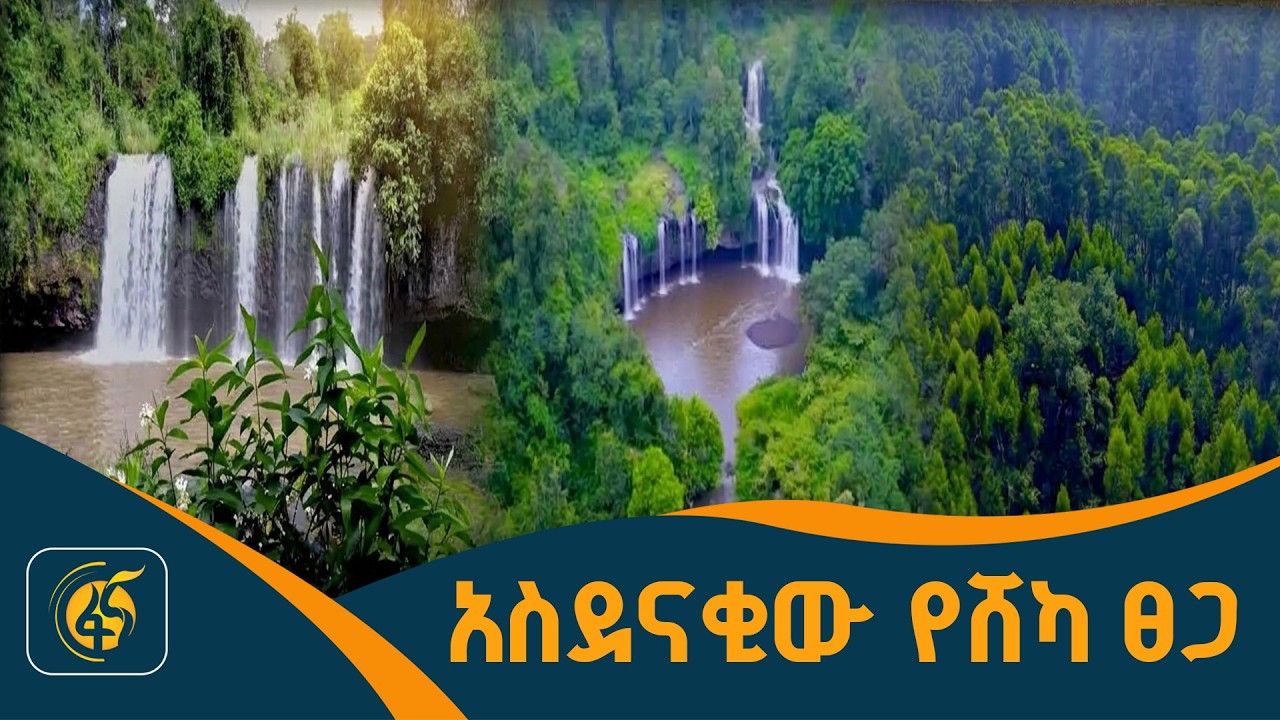 ሃምቦኔ ሸካ