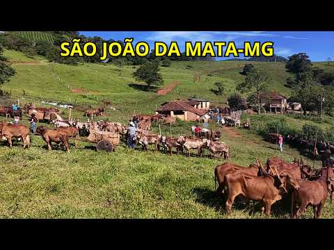 SE PREPARANDO PARA O DESFILE DE SÃO JOÃO DA MATA-MG