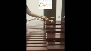 Download lagu パッヘルベル「カノン」｜マリンバ ・フルート・ピアノ/Pachelbel: Canon in D｜Marimba・Flute・Piano mp3