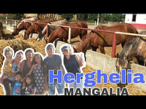 HORSE FARM TOUR |Herghelia Mangalia