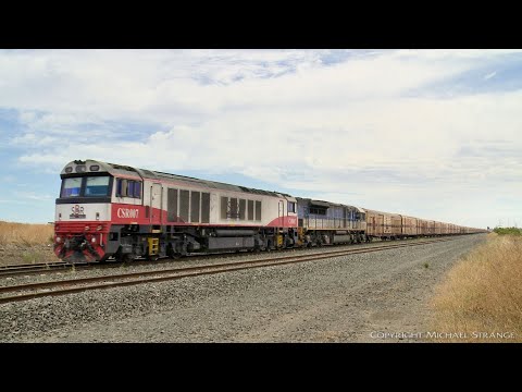 SCT 5PM9 Freight Train With LDP Class Locomotive - PoathTV Australian Railways