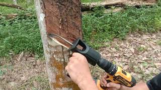 Download lagu Mesin sadap pohon karet mengunakan mesin bor modifikasi mp3 Download lagu Mesin sadap pohon karet mengunakan mesin bor modifikasi mp3