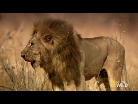 BIO 331 Bioflix Checkpoint 2