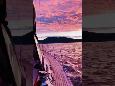 Magical sunset sailing! #shorts #norway #sunset #sailing #boats #scenery #fjord #sky #vibes #viral