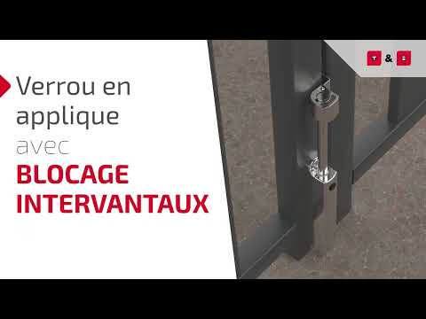 Verrou de portail en applique avec blocage intervantaux - inox brossé TIRARD