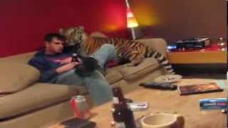 Gatos e cachorros são para os fracos!