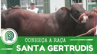 Miniatura do vídeo