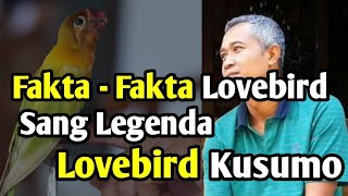 Download lagu Fakta - Fakta Lovebird Kusumo | Sang Legenda dari Klaten mp3