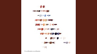 Rgendjemand Halt - Dieselben Sessionsiosuses (Damits nicht so ernst endet... (... (.. (..)...