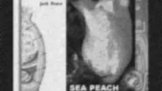 Sea Peach (Halocynthia Auranthium)