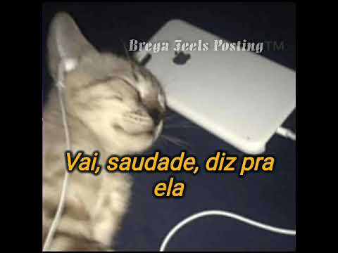 Leandro & Leonardo - Talismã (LETRA)