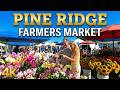 PINE RIDGE FARMERS MARKET On Sunday Morning Naples Farmersmarket Florida Shopping