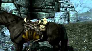 Skyrim Elin Dragon Fighter (Элина борется с драконом)