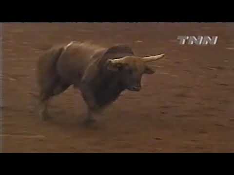 Mesquite Star bucks J.W. Hart - 00 PBR Guthrie