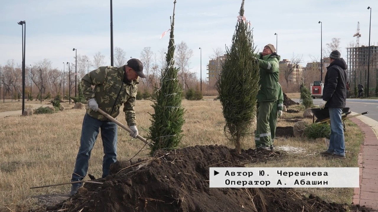 Время местное. Эфир: 22-10-2026 - Озеленение города