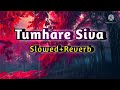tumhare Siva (slowed+reverb)💘💘💘💘💘