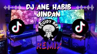Download lagu DJ ANE HABIB JINDAN BY DJ RENDY VIRAL FYP TIKTOK mp3