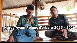 Download lagu Latest Pelung Chicken Prices 2025-2026 mp3