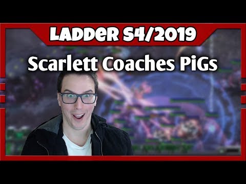 Scarlett Coaches PiGs TvP! | Ladder Season 4 2019 #36