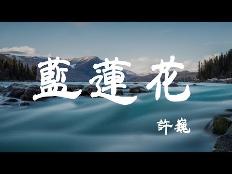 藍蓮花 - 許巍 - 『超高无损音質』【動態歌詞Lyrics】