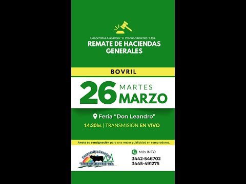 Remate de hacienda Bovril Invernada 26-03-2024 | Coop. Ganadera El Pronunciamiento