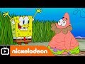 SpongeBob SquarePants EGG Citing Farm Duties Nickelodeon UK