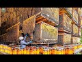 Biggest Bee Farm Harvest Million Liters Of Honey In America This Way Agriculture Technology
