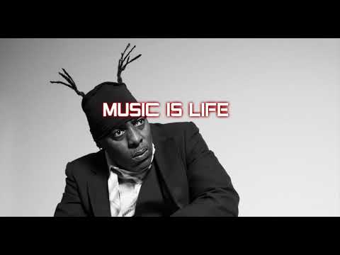 Coolio Lady Vs Beat Nouveau Feat Storm Lee