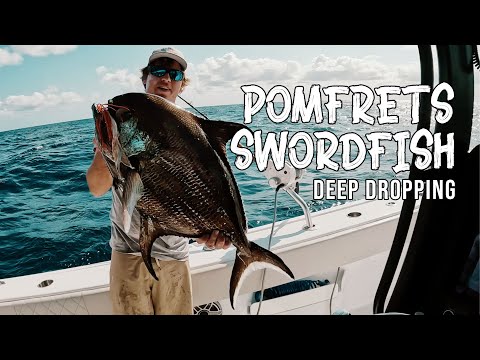 Pomfrets & BIG Swordfish on a 47' Freeman! Catch, Clean, Cook!