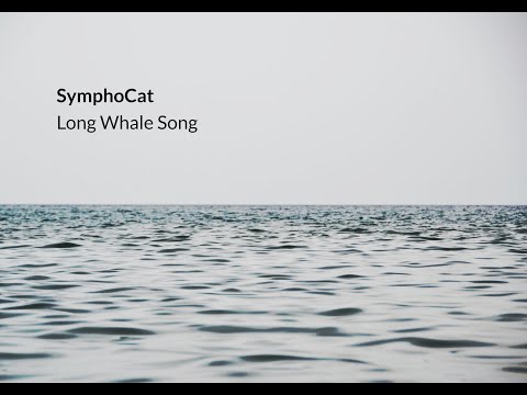 SymphoCat - Long Whale Song (Full Album)