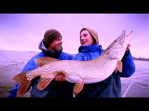 Der Angelguide -  Portrait David Hagemeister ProNature MV