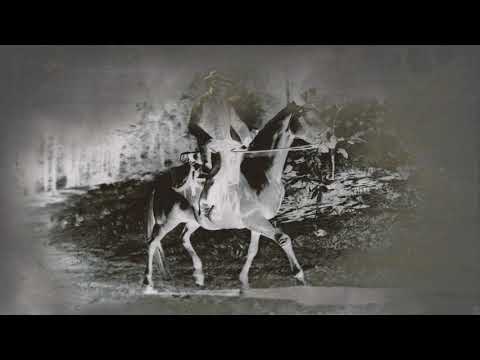 Rdo How Bad Is Hacking Red Dead Redemption 2 综合讨论