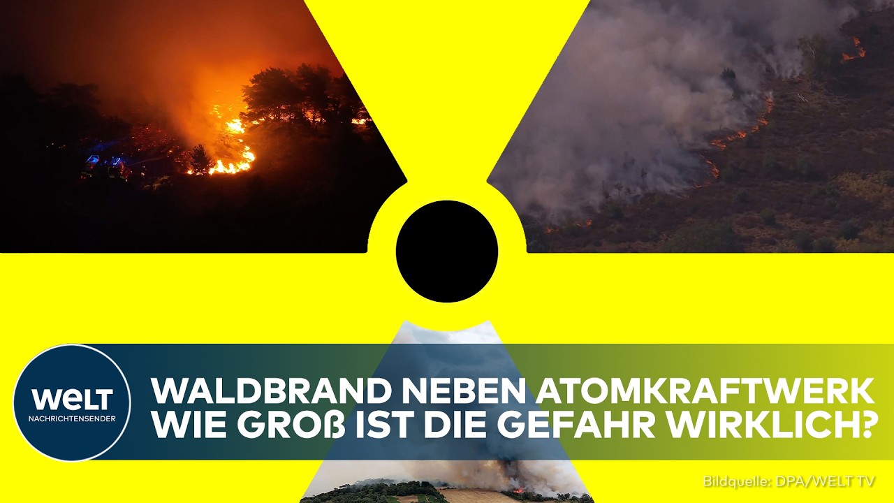 GROSSBRITANNIEN: Gewaltiger Waldbrand nahe Atomkraftwerk! Feuerwehr kämpft gegen Flammen