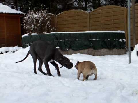 Gorgeous Diego with Najah 01/2010