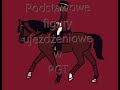 Podstawowe Figury Ujeżdżeniowe W Platinium Girls Team