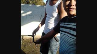 Streetlights-Ludo (Cover)