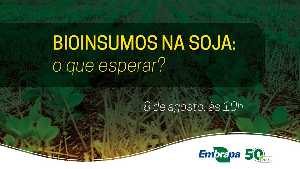 Bioinsumos na soja: o que esperar?