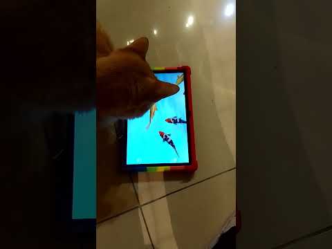 Video cover