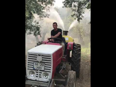 Elektrojet İle Gemlik Zeytini İlaçlaması