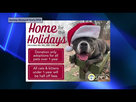 NJ Monmouth County S. P. C. A. Hosting Its Annual Home For the Holidays Event