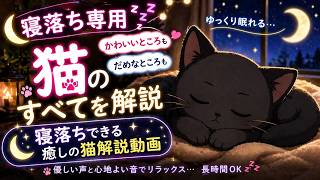 【寝落ち動画】寝ながら猫のすべてわかる！猫解説動画