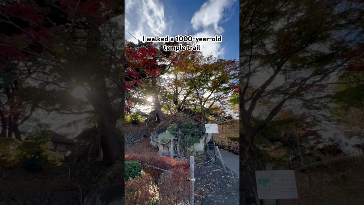 YouTube Short thumbnail