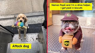 UPS Drivers Capture The Most Interesting Photos On Their Routes