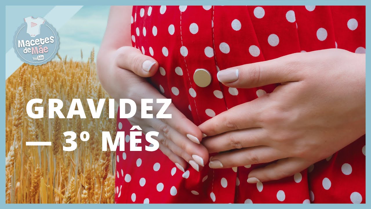 TERCEIRO MÊS DE GRAVIDEZ – O que acontece com VOCÊ E O BEBÊ | MACETES DE MÃE