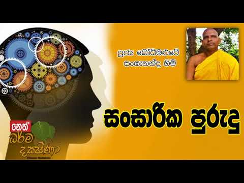 Darma Dakshina 2019.05.25 - Bodhi Maluwe Sangananda Himi