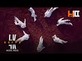 [4K 60FPS] ENHYPEN 엔하이픈 'Bite Me' MV