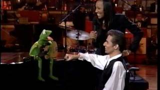 Kermit The Frog & Calvin Ray Sing It's Not Easy Being Green